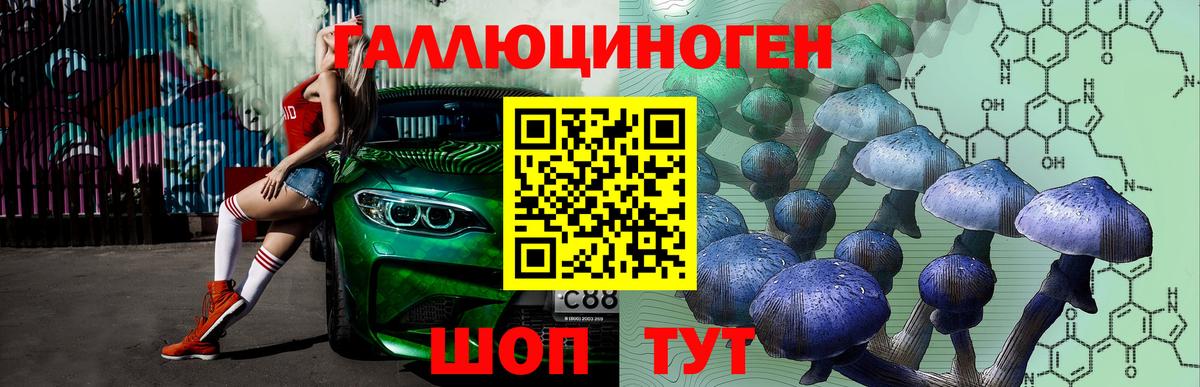Сарапул  цена   Вход с VPN  Псилоцибиновые грибы Cubensis 